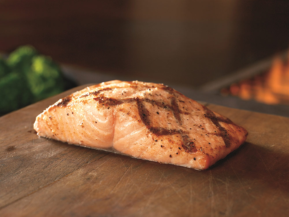 South American Salmon
